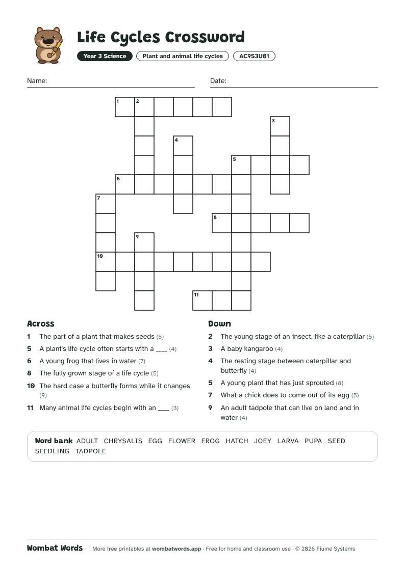 Life Cycles crossword puzzle with across and down clues and a word bank