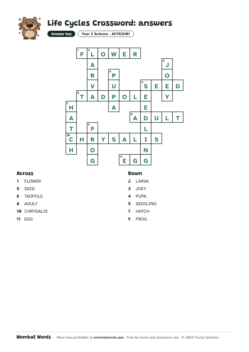Life Cycles crossword answer key